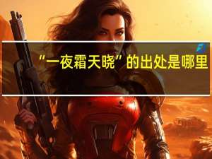 “一夜霜天晓”的出处是哪里