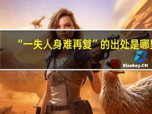 “一失人身难再复”的出处是哪里