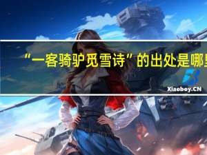“一客骑驴觅雪诗”的出处是哪里