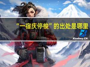 “一宿庆停梭”的出处是哪里