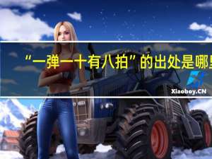 “一弹一十有八拍”的出处是哪里