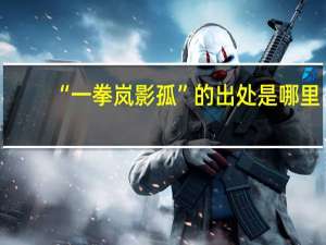 “一拳岚影孤”的出处是哪里