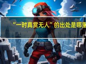 “一时真赏无人”的出处是哪里