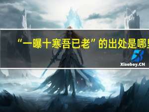 “一曝十寒吾已老”的出处是哪里