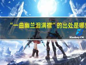 “一曲幽兰泪满襟”的出处是哪里