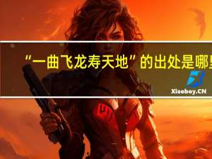 “一曲飞龙寿天地”的出处是哪里