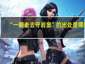 “一朝老去守岩窦”的出处是哪里