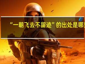“一朝飞去不留迹”的出处是哪里