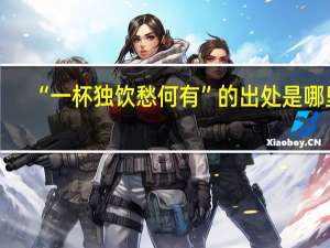 “一杯独饮愁何有”的出处是哪里