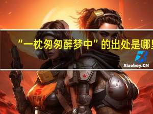 “一枕匆匆醉梦中”的出处是哪里