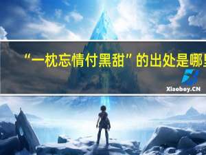 “一枕忘情付黑甜”的出处是哪里