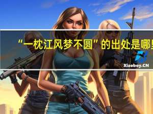 “一枕江风梦不圆”的出处是哪里