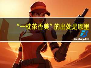 “一枕茶香美”的出处是哪里