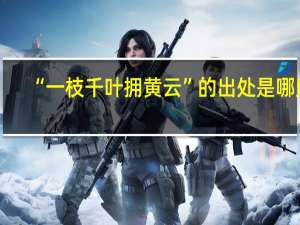 “一枝千叶拥黄云”的出处是哪里
