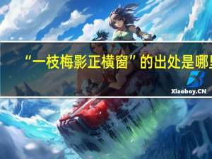 “一枝梅影正横窗”的出处是哪里