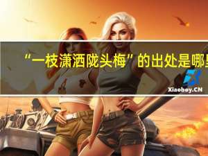 “一枝潇洒陇头梅”的出处是哪里
