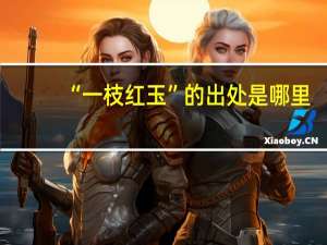 “一枝红玉”的出处是哪里