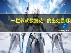 “一栏养就数窠花”的出处是哪里