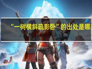 “一树横斜疏影卧”的出处是哪里