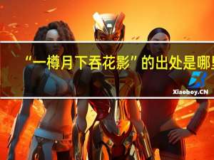 “一樽月下吞花影”的出处是哪里