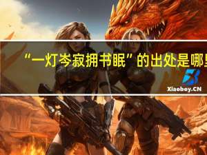 “一灯岑寂拥书眠”的出处是哪里