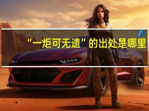 “一炬可无遗”的出处是哪里