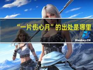 “一片伤心月”的出处是哪里