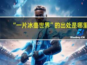 “一片冰壶世界”的出处是哪里