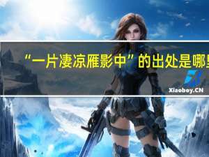 “一片凄凉雁影中”的出处是哪里