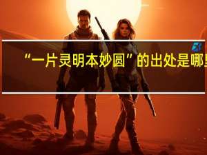 “一片灵明本妙圆”的出处是哪里
