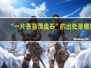 “一片苍苔涅盘石”的出处是哪里