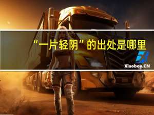 “一片轻阴”的出处是哪里