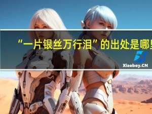 “一片银丝万行泪”的出处是哪里