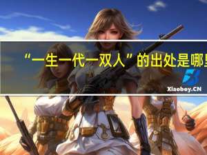 “一生一代一双人”的出处是哪里