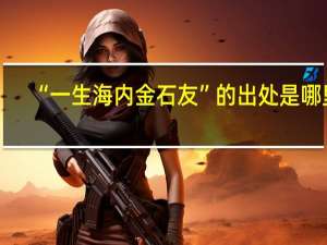 “一生海内金石友”的出处是哪里