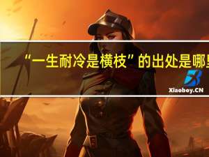 “一生耐冷是横枝”的出处是哪里