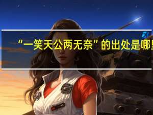 “一笑天公两无奈”的出处是哪里