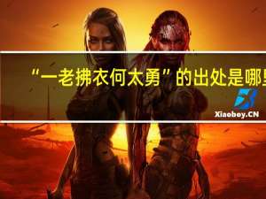 “一老拂衣何太勇”的出处是哪里