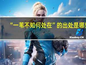 “一苇不知何处在”的出处是哪里