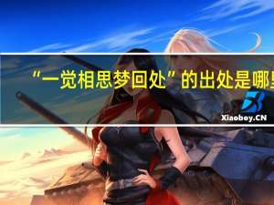 “一觉相思梦回处”的出处是哪里