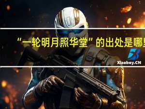 “一轮明月照华堂”的出处是哪里
