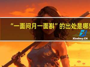 “一面问月一面斟”的出处是哪里