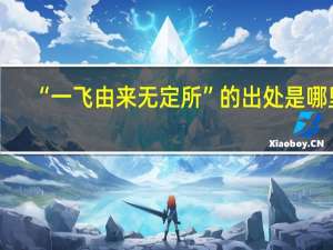“一飞由来无定所”的出处是哪里