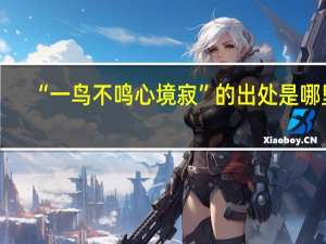 “一鸟不鸣心境寂”的出处是哪里