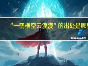“一鹤横空云漠漠”的出处是哪里