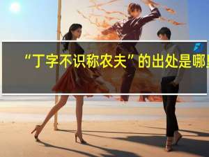 “丁字不识称农夫”的出处是哪里