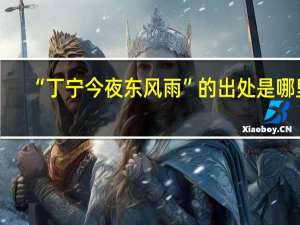 “丁宁今夜东风雨”的出处是哪里