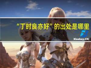 “丁时良亦好”的出处是哪里