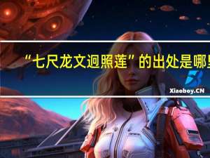 “七尺龙文迥照莲”的出处是哪里