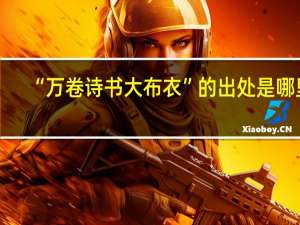 “万卷诗书大布衣”的出处是哪里